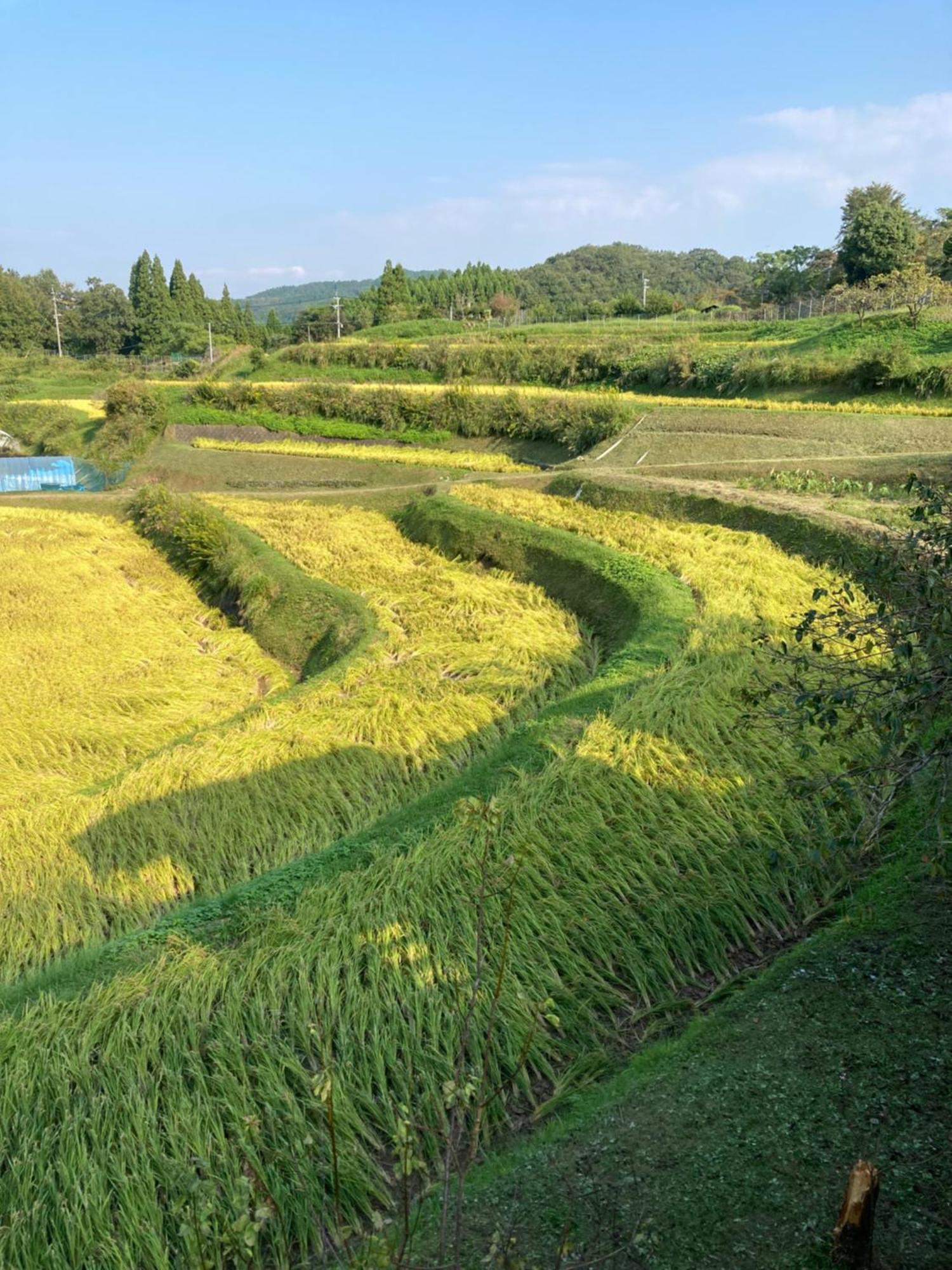豊後大野市体験型農家民泊「お陽さまと風」アパートメント エクステリア 写真